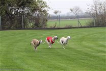 2013 November: Lucky's licence run (red shirt)