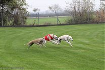 2013 November: Lucky's licence run (red shirt)