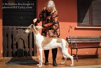 With his breeder: Bitte Ahrens Primavera, kennel Sobers (founded in 1957) 