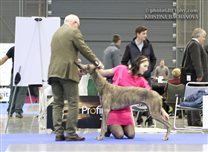 23.10.: National Dog Show by EDS