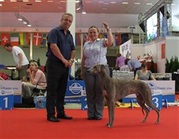 duoCACIB Nitra (International Dog Show)