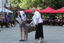 Best in Show judge: Mrs. Ridarčíková Gabriela - first lady of Slovak kynology :-)