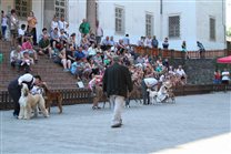 Finals - Best in Group, judge: Mr. Erdös László, HU
