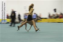 Day 1: Alec & Dominika flying together in BIG ring :-)