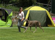 Donaueschingen, GER with breeder Daniela Zingg-Bucher