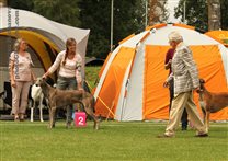 Day 1 Donaueschingen, Judge: Mr. Gerritsen