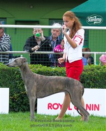 Junior handling with Dominika