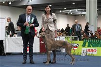 Alec being granted Best of Breed (BOB)