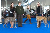 Best of Breed granted to Alec by judge Mr. Laszlo Erdos, on the pic also Good Luck Charm  who was BOS and Junior BIG