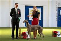 Alec as Best of Breed with judge Marco Sistermann & Dominika :) 
