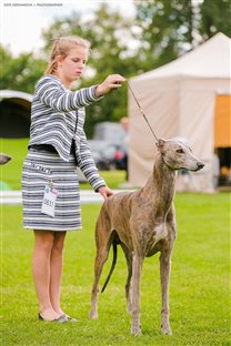 Alec in the ring with handler Mia from Austria