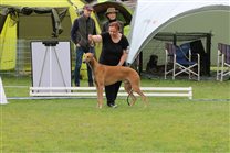 In the ring with me on Sunday (was a bit unhappy still ;) with somebody else) For pic thanks to Janet Ganzeveld