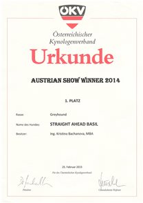 Austrian Show Winner 2014 breed Greyhound (Austellungsieger 2014)