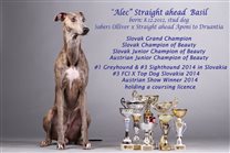 12xCACIB, 14xBOB, 5xBOS C.I.B.-awaiting timing condition, Champion titles of other countries in progress (AUT, PL, HR, HUN, CZ, GER)