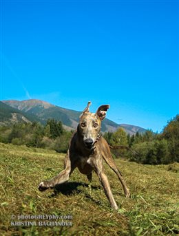 Trip2HighTatras