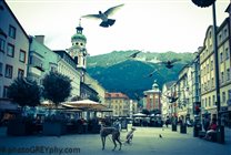 A lot of doves as in Venezia =D