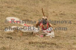 img 4768