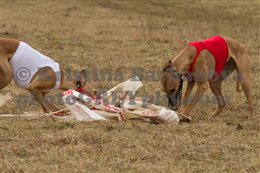 img 4796