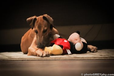 img_7574
